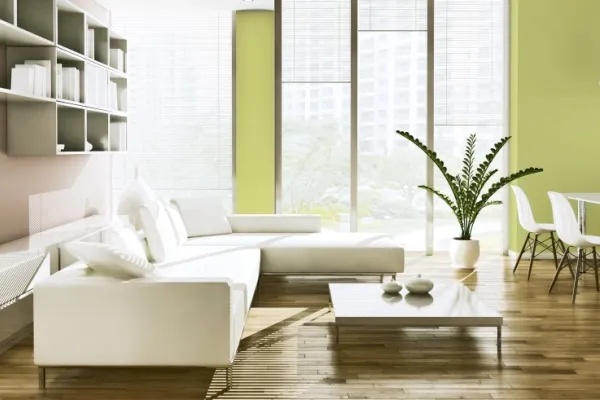 Salon z akcentem zieleni